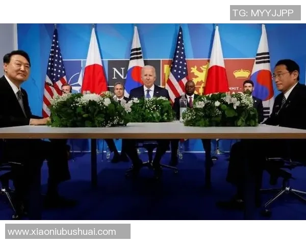 韩国足球明星数量揭秘及其在国际舞台上的影响力分析