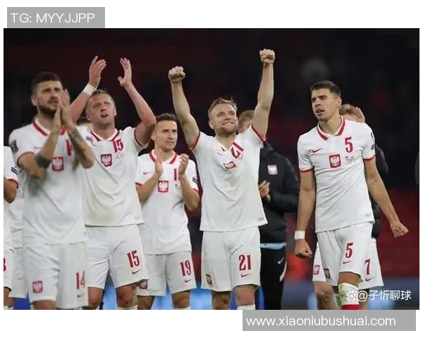 南京足球队的节奏解析与战术深度探讨之旅