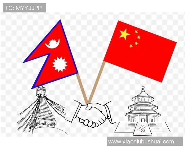 广州排球队进攻革新之路探索与实践的深度剖析与展望