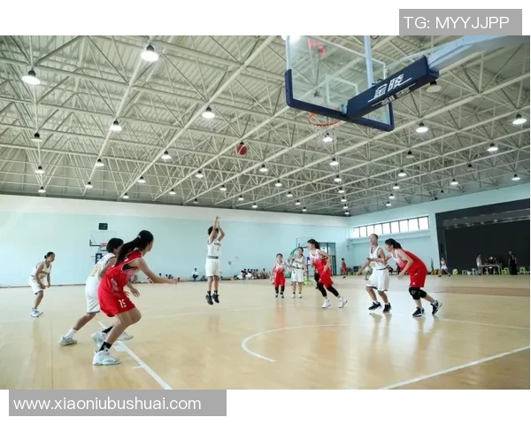 杭州篮球队在城市联赛中的团队协作表现分析与点评