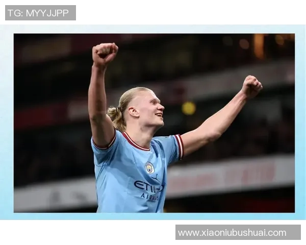 瑞典足球明星哈兰德的崛起与未来展望分析