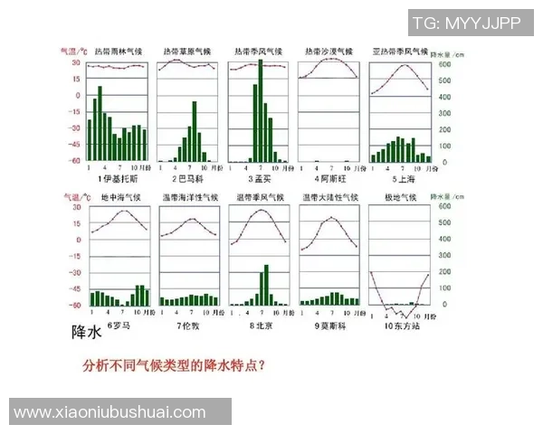 重庆排球队速度表现分析及其对比赛胜负的影响探讨