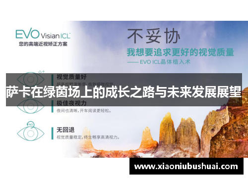萨卡在绿茵场上的成长之路与未来发展展望